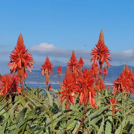 Authentic Stone House Hébergement de vacances *